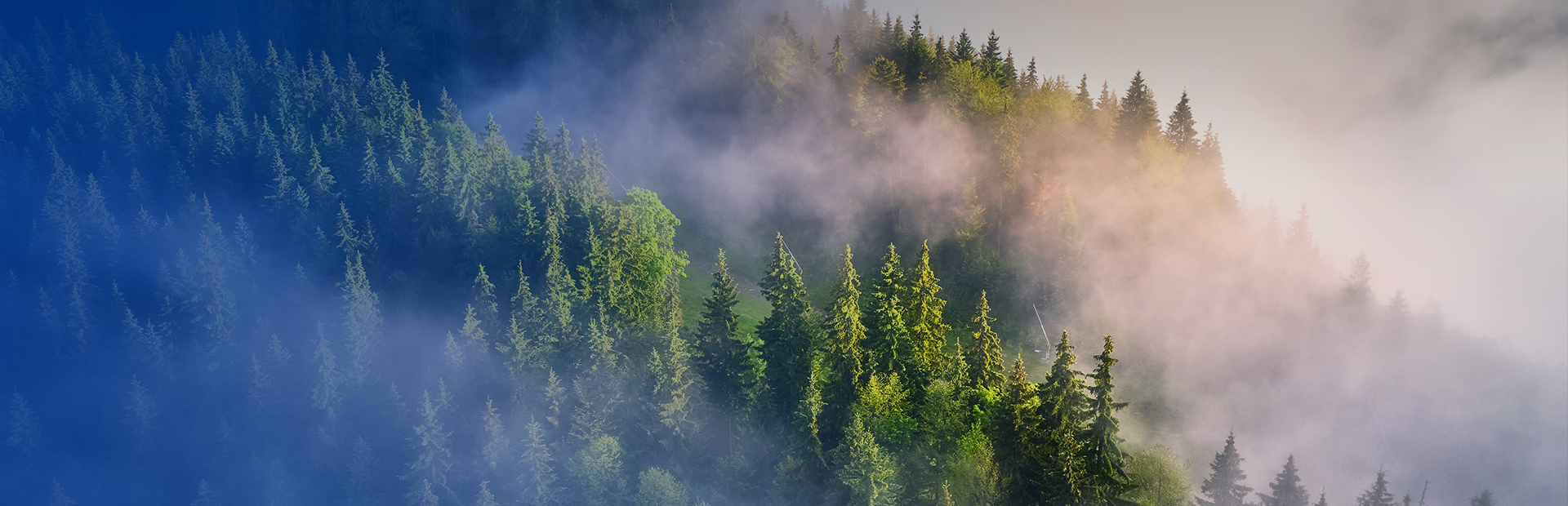 ��һ������